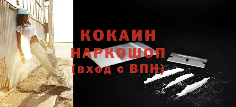 Cocaine Fish Scale  цены   kraken сайт  Богородицк 